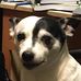 Profile Picture of Thomas Tynan (@thomas.tynan.568) on Facebook
