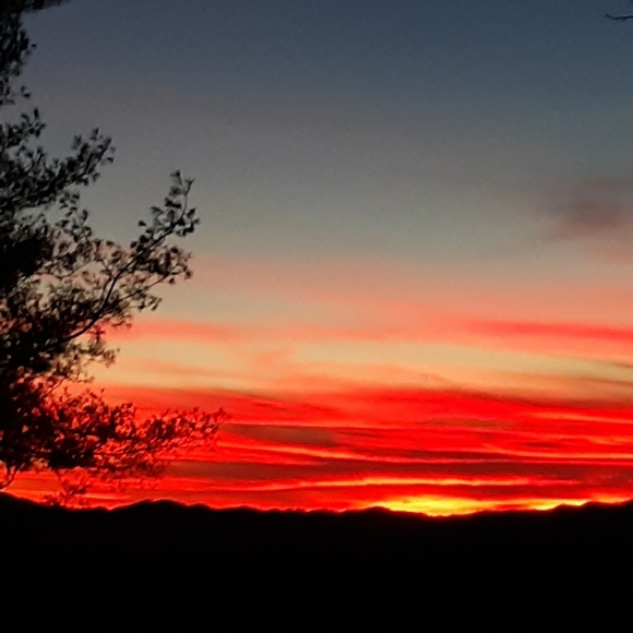 Profile Picture of Hazel Brown (@hazelpb01) on Poshmark