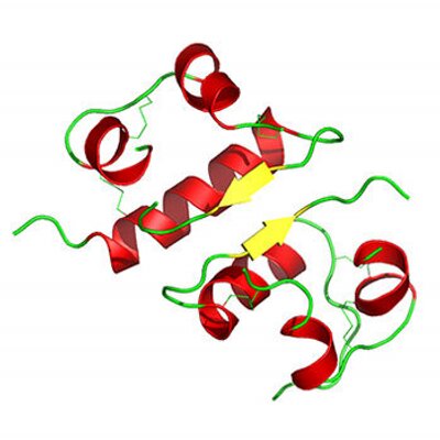 Profile Picture of Brad Eilerman, M.D. (@endocrine) on Twitter