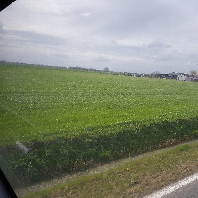 Profile Picture of Mike Pagani (@MikePagani2) on Twitter