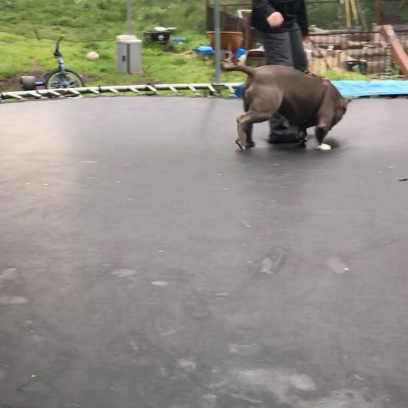 Profile Picture of Floyd Cratty (@atoasamoa) on Poshmark