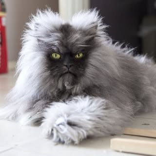 Profile Picture of Lance Swenson (@lanceswenson) on Instagram