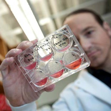 Profile Picture of George J. Murphy (@DrGJMurphy) on Twitter