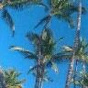 Profile Picture of Tyler Calkins (@tylercalkins2938) on Youtube