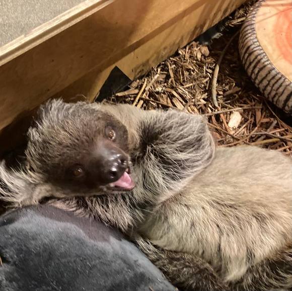 Profile Picture of Jeffandtrish Riegel (@tricia1214) on Poshmark