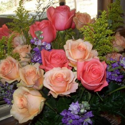 Profile Picture of Brenda Key (@1floridakey) on Twitter