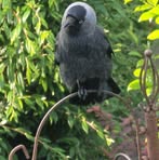 Profile Picture of Clive Green (@Clive-Green) on Facebook