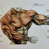 Profile Picture of Nick Chase (@nick-chase-19) on Quora