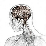 Profile Picture of Eric Rousseau (@pht3k) on Flickr