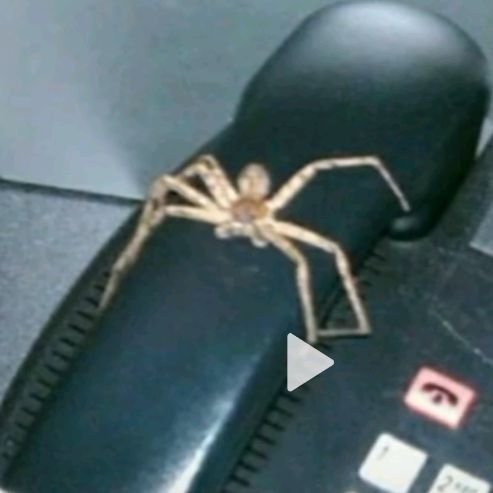 Profile Picture of Richard Formanek965 (@richardformanek96) on Tiktok