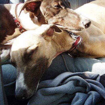 Profile Picture of Cammy Jones Berteaux (@cjonescoug) on Twitter