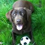 Profile Picture of Kendall Klein (@kleinkendall) on Instagram