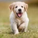 Profile Picture of Ágnes Dobos (@Ágnes-Dobos) on Facebook