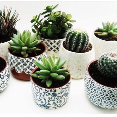 Profile Picture of Andy (@andyyy_kolar) on Twitter