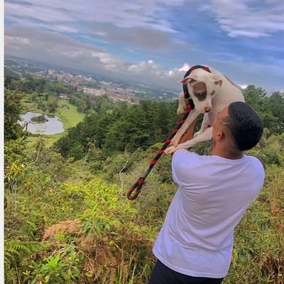 Profile Picture of José Dulce (@JoseD84977821) on Twitter