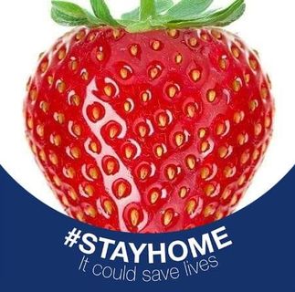 Profile Picture of Bonnie Marlowe's UV (@bonnie.marlowesuv) on Facebook