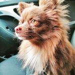 Profile Picture of Eric Concepcion (@ercon2121) on Instagram