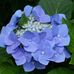 Profile Picture of Gladys Creek (@Gladys-Creek) on Facebook
