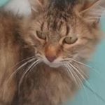 Nelson Espinosa - Instagram Profile Picture of Nelson Espinosa (@nelson.espinosa.792197) on Instagram