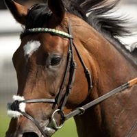 Profile Picture of Sean Odonoghue (@sean-odonoghue-11) on Quora