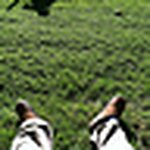 Christian Coffey - Flickr Profile Picture of Christian Coffey (@coffey0112) on Flickr