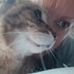Profile Picture of Amanda Curran (@amanda.curran.121) on Facebook