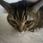 Profile Picture of David Geria (@david.geria.10) on Facebook