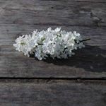 Таня Багрий - Instagram Profile Picture of Таня Багрий (@bagrii.tanya) on Instagram