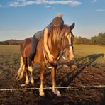 Talia Ferguson - Facebook Profile Picture of Talia Ferguson (@talia.ferguson.90) on Facebook