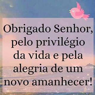 Barbara Matute - Facebook Profile Picture of Barbara Matute (@barbara.matute.904) on Facebook