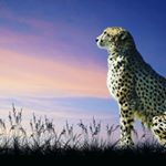 Profile Picture of kaegan lane conrad (@kaeganlane) on Instagram