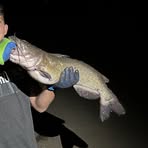 Profile Picture of Crew Hansen (@Crew-Hansen) on Facebook