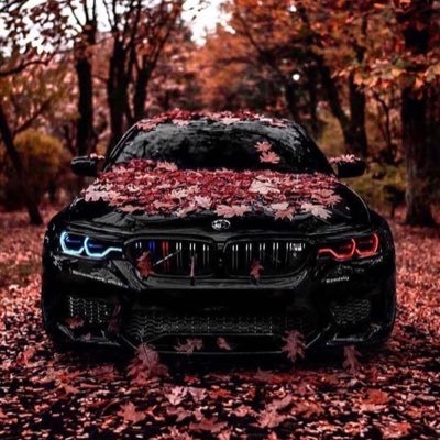 Profile Picture of Carlos Granillo (@CarlosGranill17) on Twitter