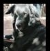 Profile Picture of Mario Alexandre (@mario.alexandre.94651) on Facebook