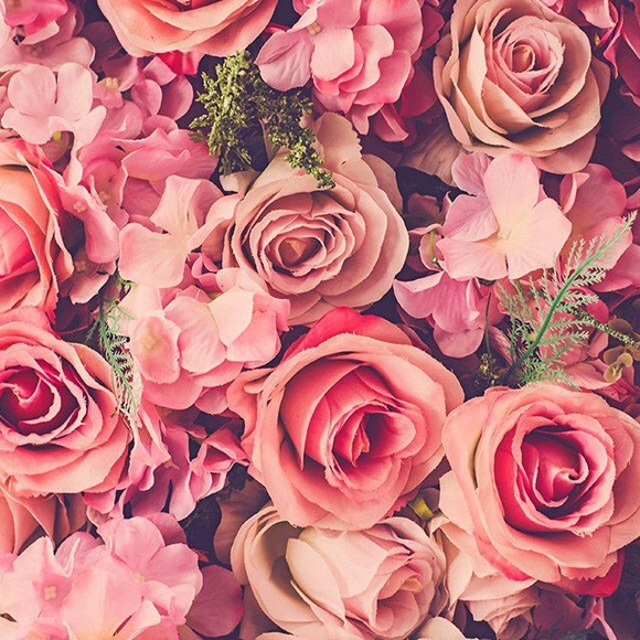 Profile Picture of Danielle Mclaurin (@naomimichelle91) on Poshmark