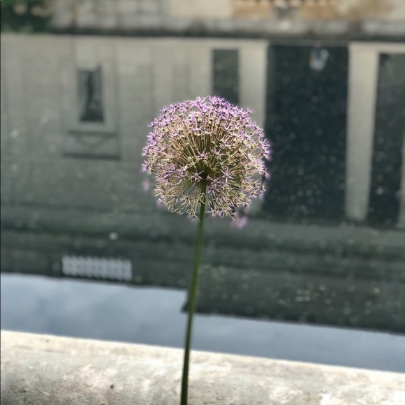 Profile Picture of Stella Mark (@stellamark) on Poshmark