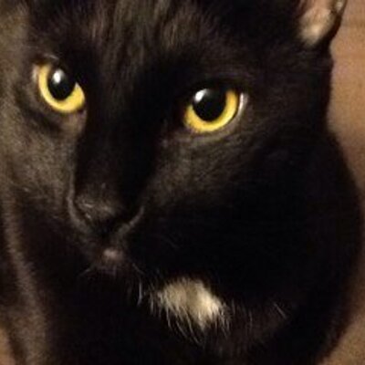 Profile Picture of Mary Benedetto (@benedetto04mary) on Twitter