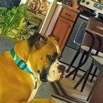 Profile Picture of sonny (@garyshoemaker112) on Instagram