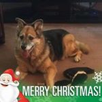 Profile Picture of Robert Hite (@hite3234) on Instagram