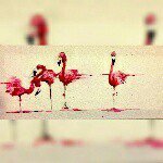 Profile Picture of Jason (@jasonshecklermoscowcity) on Instagram