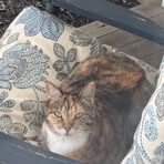 Profile Picture of Ben Creighton (@Ben-Creighton) on Facebook