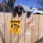 Profile Picture of Kevin W. Pearson (@kevinw.pearson) on Instagram