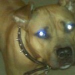 Profile Picture of John Dabney (@john_dabney) on Instagram