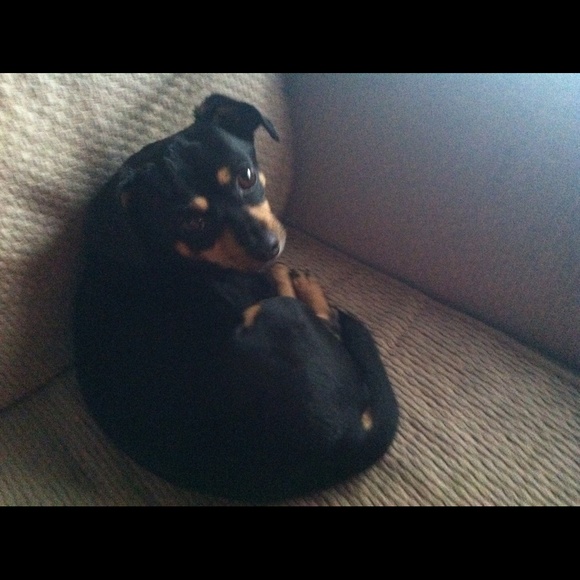 Profile Picture of April Avant (@aacastleberry) on Poshmark