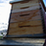 Profile Picture of Joe Krein (@destroying_angel) on Flickr