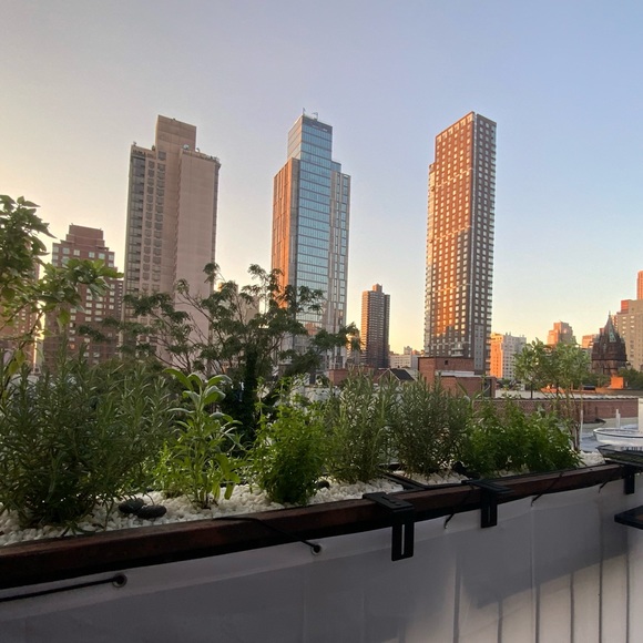 Profile Picture of Alexander Pedigo (@ajp589) on Poshmark