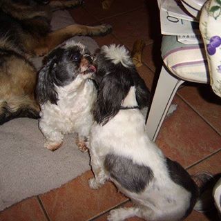 Profile Picture of Janet Thibault (@janet.thibault.73) on Facebook