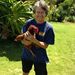 Profile Picture of Janet Pappas (@janetlpappas) on Pinterest