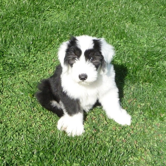 Patricia Chelmecki - Poshmark Profile Picture of Patricia Chelmecki (@patchel42) on Poshmark