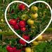 Profile Picture of Peter Remy (@peter.remy.739) on Facebook